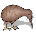images-kiwi-bird-png