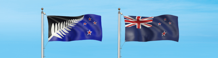 Referendum Two Flag Choices