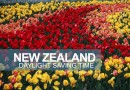 New Zealand Daylight Saving Time