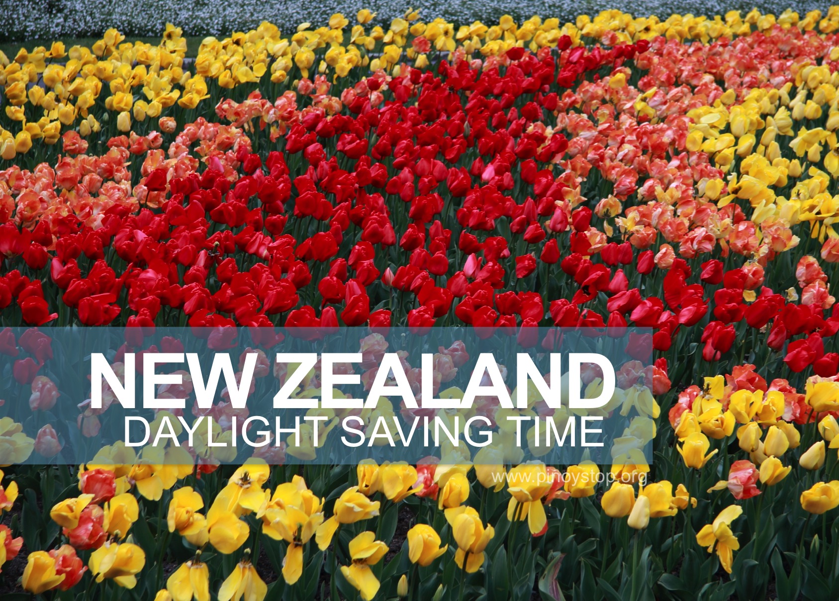 New Zealand Daylight Saving Time Pinoy Stop