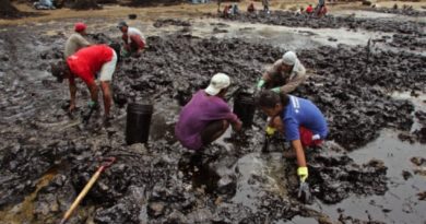 Guimaras Oil Spill
