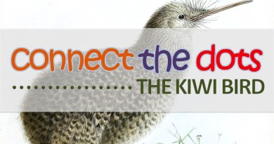 Kiwi Dot to Dot